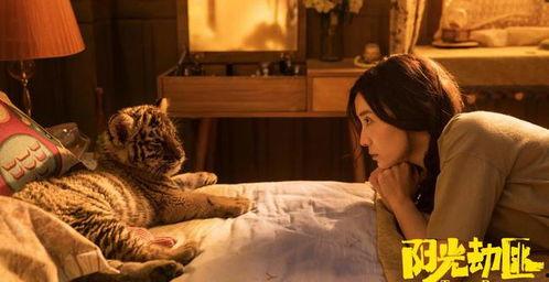 电影奇怪的她在线观看,电影奇怪的她在线观看之旅 第3张 电影奇怪的她在线观看,电影奇怪的她在线观看之旅 第3张